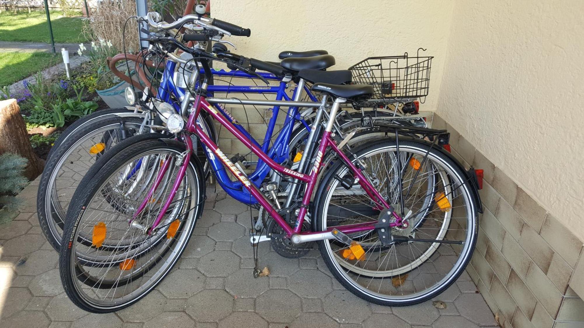 Ferienwohnung Miezerle Steisslingen 外观 照片